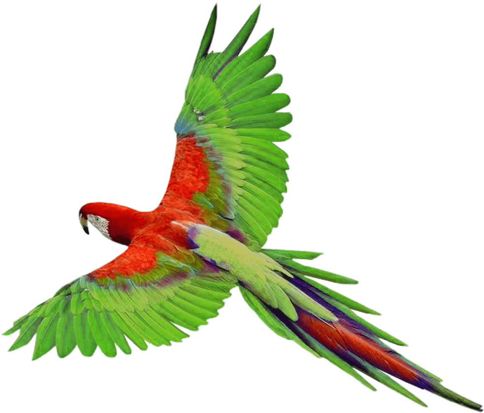 مجموعه پرورشاپ