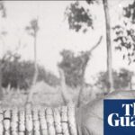 Sénégal en saison sèche (Senegal in the Dry Season), photograph, 1920 … part of Geste de Consolation, curated by Alice Diop.